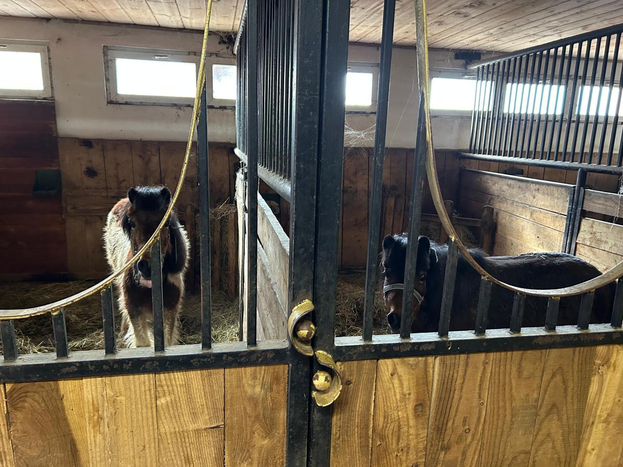 Koperkowe Rancho Beskid Wyspowy Domek Malopolskie Kamionna Kamionna  Luaran gambar